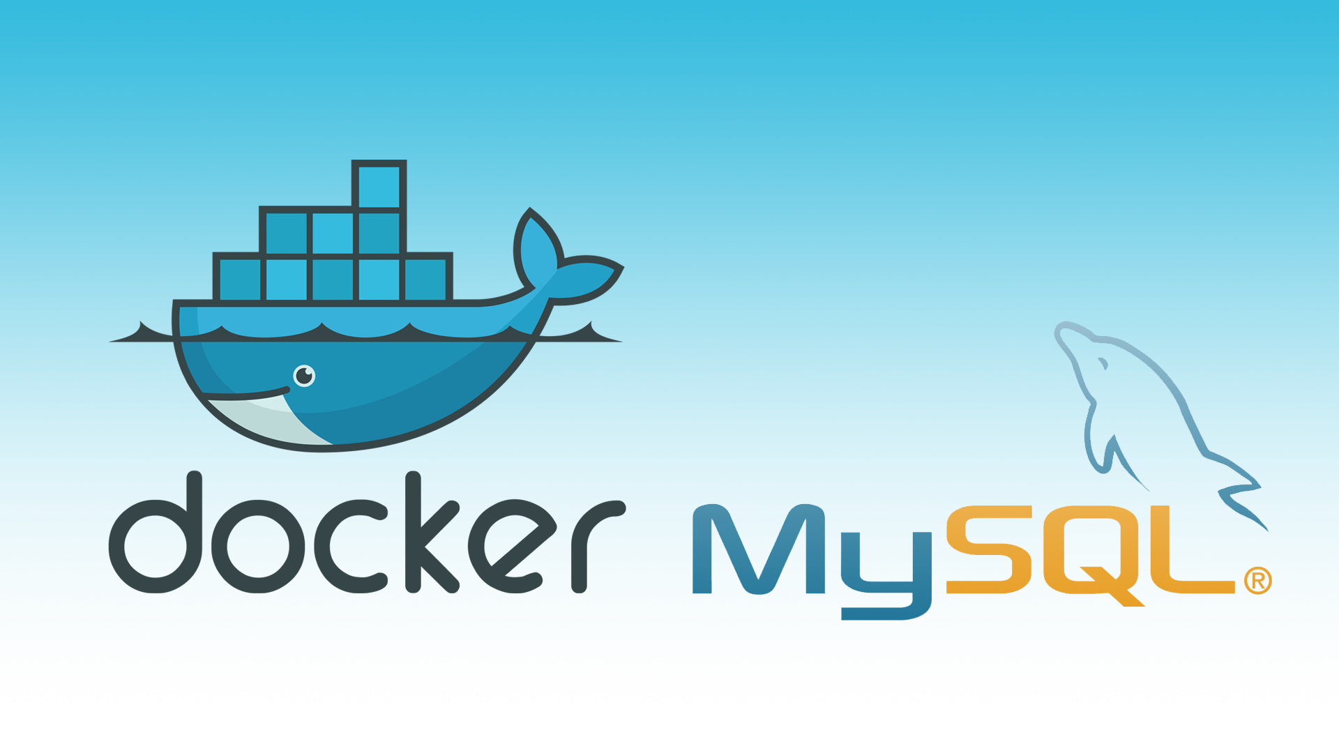 Docker: MySQL